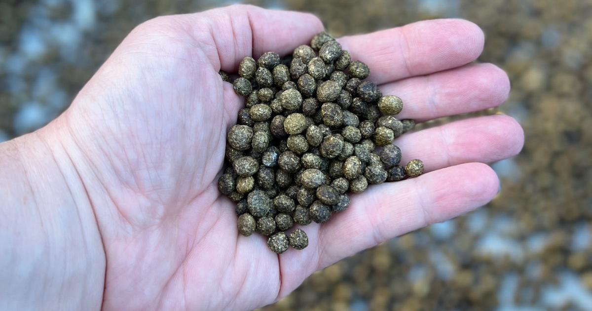 Handful of rabbit manure pellets