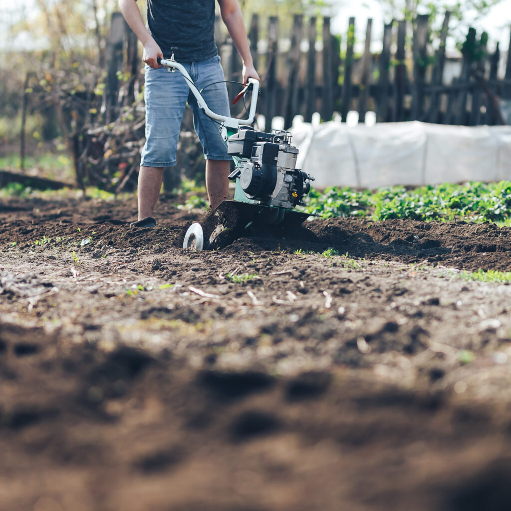 young farmer gardener cultivate ground soil rototiller


