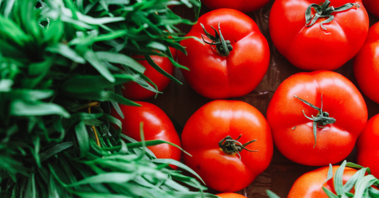 The Ultimate Guide to Growing Delicious Tomatoes at Home