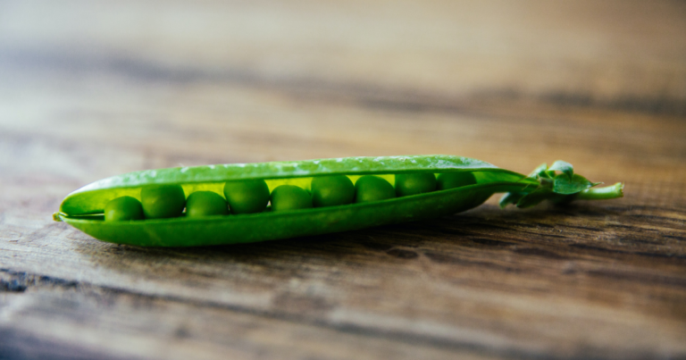 An open pea pod revealing a row of snug, vibrant green peas nestled inside, laid on a wooden surface with a blurred background that accentuates the freshness of the peas.