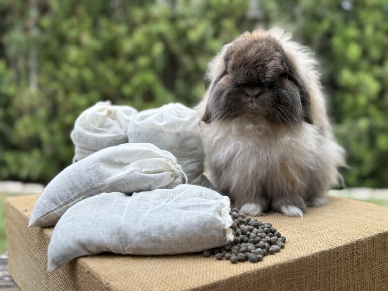 Bunnydoo Brew Bags: A Simpler Way to Feed Your Garden